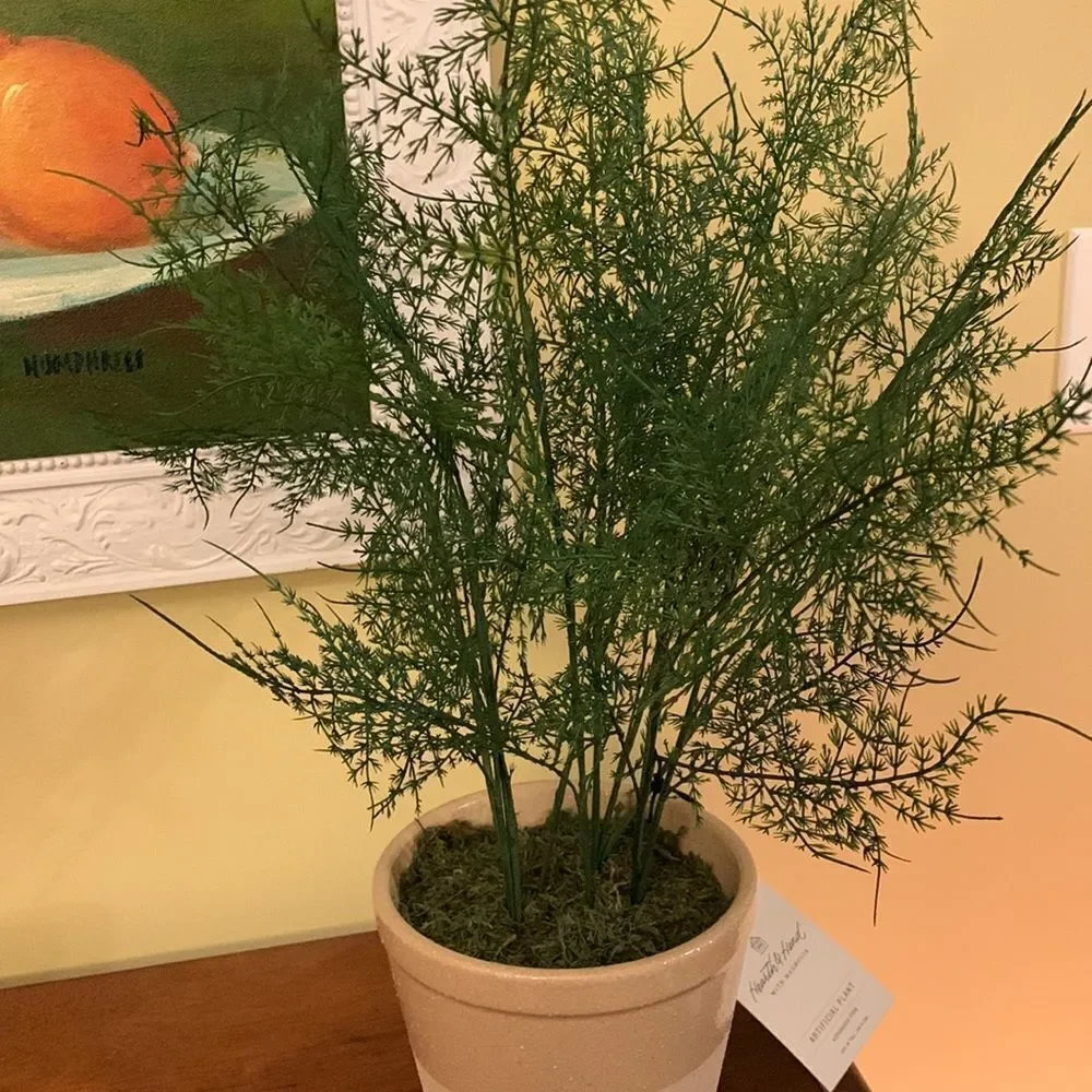 Hearth & Hand faux fern potted plant 18.5” X 22” NEW & firm price